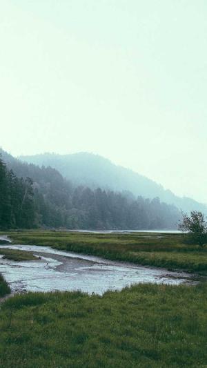 黑料不打烊资源截图1